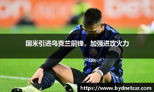 国米引进乌克兰前锋，加强进攻火力