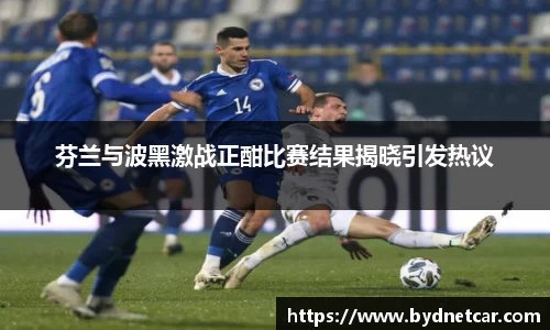 芬兰与波黑激战正酣比赛结果揭晓引发热议