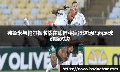 弗鲁米与帕尔梅激战在即谁将赢得这场巴西足球巅峰对决